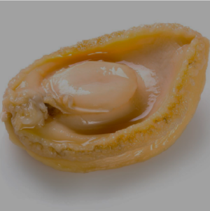 鮑魚